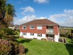 Thumbnail for sale in Moorlands Road, Budleigh Salterton