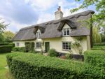 Thumbnail for sale in Caxton End, Bourn, Cambridge