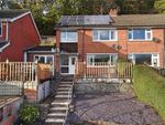 Thumbnail to rent in Tan Y Graig, Canal Road, Newtown, Powys