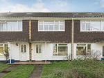 Thumbnail to rent in Brinsworth Close, Twickenham