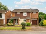 Thumbnail for sale in Hadrian Close, St. Albans, Hertfordshire