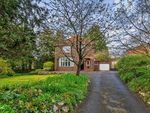 Thumbnail for sale in Plomer Hill, High Wycombe