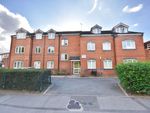 Thumbnail to rent in Ringwood Highway, Coventry