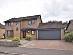 Thumbnail to rent in Forbes Road, Falkirk, Stirling