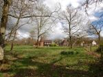 Thumbnail for sale in Flimwell, Wadhurst