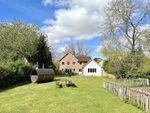 Thumbnail for sale in Downs Road, West Stoke, Chichester, West Sussex