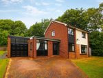 Thumbnail to rent in The Oval, Woolsington, Newcastle Upon Tyne