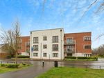 Thumbnail for sale in Hines Court, Basingstoke, Hampshire