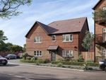 Thumbnail for sale in Harlequin Road, Langley, Maidstone, Kent