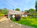 Thumbnail for sale in The Drive, Summersdale, Chichester