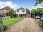 Thumbnail for sale in Sycamore Road, Farnborough