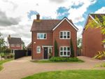 Thumbnail for sale in Joslin Avenue, Witham, Essex