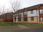 Thumbnail to rent in Gascoigne Court, Falkirk