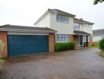 Thumbnail to rent in Broadpark Road, Torquay