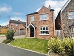 Thumbnail to rent in Belsize Meadows, Lisburn