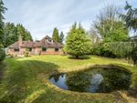 Thumbnail for sale in Derby Road, Haslemere