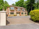 Thumbnail for sale in Wellhouse Road, Beech, Alton, Hampshire