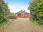 Thumbnail for sale in Silver Hill, Hintlesham, Ipswich