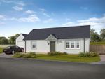 Thumbnail to rent in Plot 34, Park View, Guildtown, Perthshire