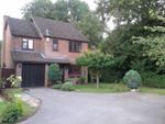 Thumbnail to rent in Maryland, Finchampstead