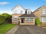 Thumbnail for sale in Beech Close, Caerphilly