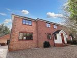 Thumbnail to rent in Partridge Green, Broomfield, Chelmsford