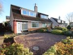 Thumbnail to rent in Tarry Dykes, Angus, Arbroath