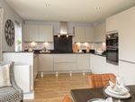 Thumbnail to rent in "Holden" at Southern Cross, Wixams, Bedford