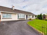 Thumbnail for sale in Chestnut Grove, Newry