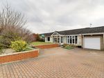 Thumbnail for sale in Craig Close, Broughton