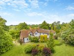Thumbnail for sale in Medcalf Hill, Widford, Ware, Hertfordshire