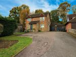 Thumbnail to rent in Bluebells, Welwyn, Herts