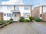 Thumbnail for sale in Prittle Close, Benfleet