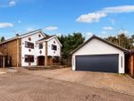 Thumbnail to rent in Travis Court, Farnham Royal