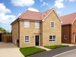 Thumbnail to rent in "Radleigh" at Ellerbeck Avenue, Nunthorpe, Middlesbrough