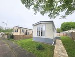 Thumbnail for sale in Sycamore Crescent, Radley, Oxon