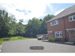 Thumbnail to rent in Woodland Drive, Sowton, Exeter