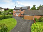 Thumbnail for sale in Newton Lane, Leicestershire