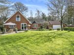 Thumbnail for sale in Gt. Hautbois Road, Coltishall, Norwich, Norfolk