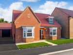 Thumbnail to rent in "Burford" at Harland Way, Cottingham