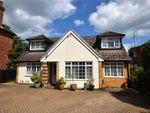 Thumbnail for sale in Reading Road, Farnborough, Hampshire