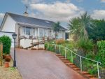 Thumbnail for sale in Sycamore Close, Paignton