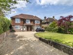 Thumbnail for sale in Gander Hill, Haywards Heath, West Sussex