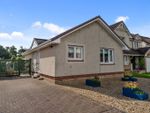 Thumbnail to rent in Haymarket Crescent, Livingston