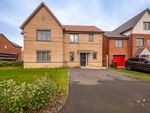 Thumbnail to rent in Poppyfield Way, Carlton In Lindrick, Worksop