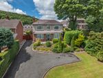 Thumbnail for sale in Mon Abri, Wrexham Road, Caergwrle