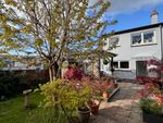 Thumbnail to rent in Beverley Rise, Brixham