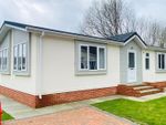 Thumbnail to rent in Water End Park, Old Basing, Basingstoke, Hampshire