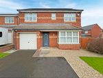Thumbnail to rent in Goldcrest Close, Hartlepool