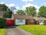 Thumbnail for sale in Merryacres, Witley, Godalming